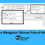 Ternyata Ini Cara Membuat Foto Menjadi Bulat di Word dengan Cepat dan Sangat Mudah