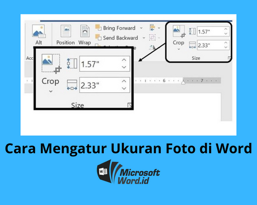 Ternyata Ini Cara Membuat Foto Menjadi Bulat di Word dengan Cepat dan Sangat Mudah